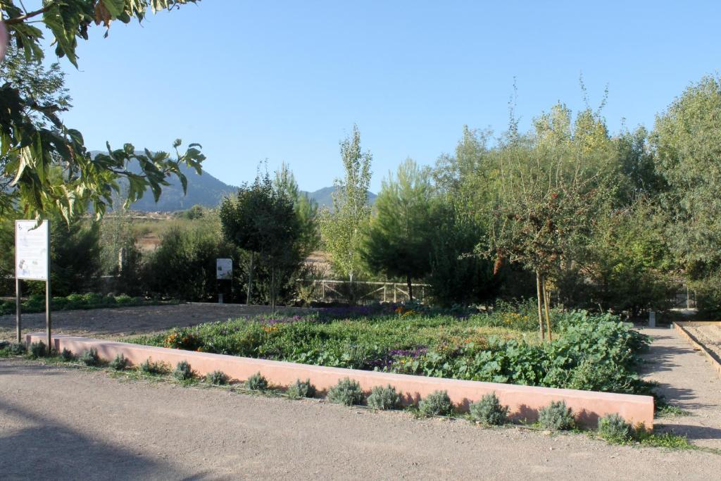 Centro De Agroecologia Y Medio Ambiente De Murcia Bullas Quarto foto