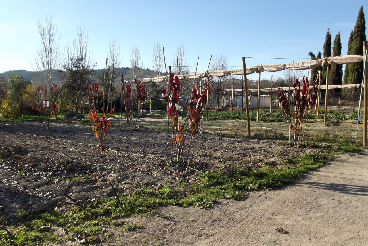 Centro De Agroecologia Y Medio Ambiente De Murcia Bullas Exterior foto